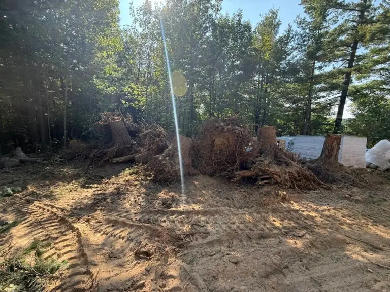 7D4BC5DC-BB80-4027-BC08-20997A1F5BD1_1_102_o